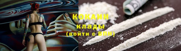 прущие грибы Гусиноозёрск