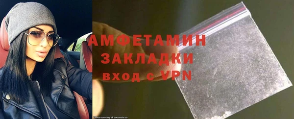 прущие грибы Гусиноозёрск
