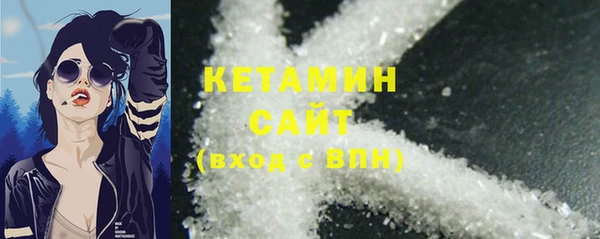 прущие грибы Гусиноозёрск