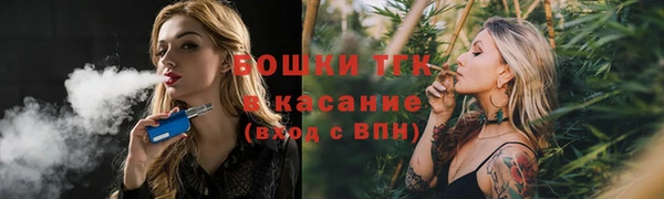 прущие грибы Гусиноозёрск