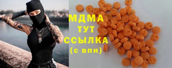 прущие грибы Гусиноозёрск
