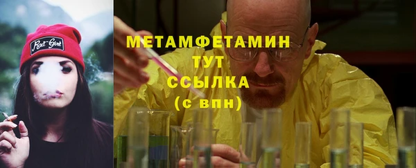 прущие грибы Гусиноозёрск