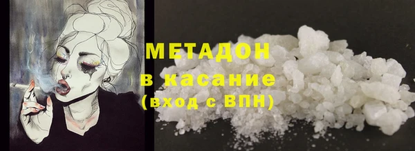 прущие грибы Гусиноозёрск
