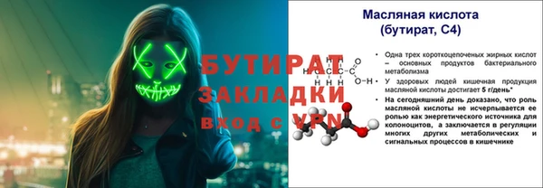 прущие грибы Гусиноозёрск