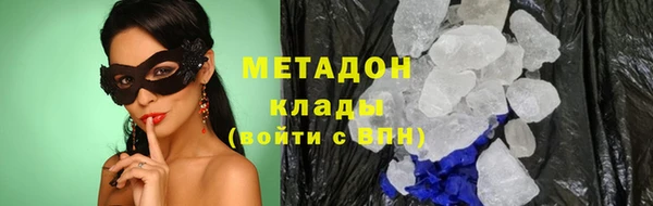 прущие грибы Гусиноозёрск