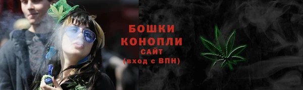 прущие грибы Гусиноозёрск