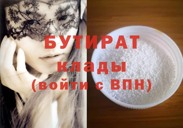 прущие грибы Гусиноозёрск
