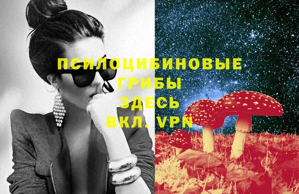 а пвп мука Гусев
