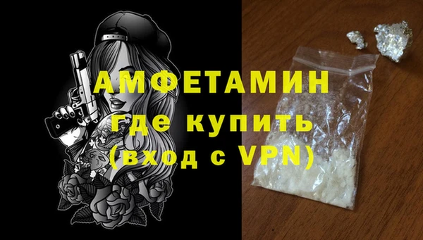 прущие грибы Гусиноозёрск