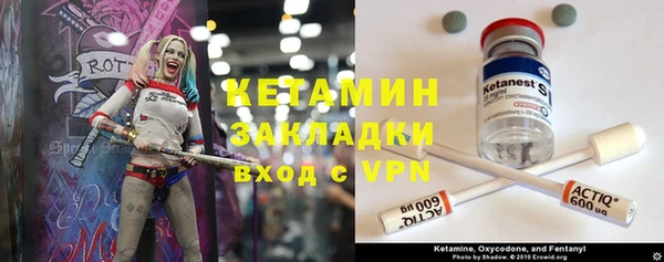 прущие грибы Гусиноозёрск